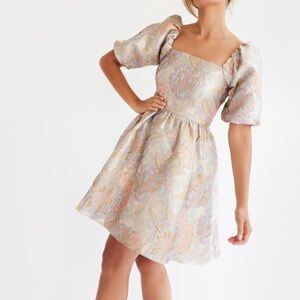 NWT Mille brand Nina Pink Brocade in Large.